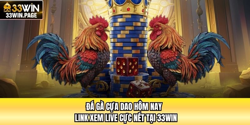 Đá Gà Cựa Dao Hôm Nay -  Link Xem Live Cực Nét Tại 33WIN