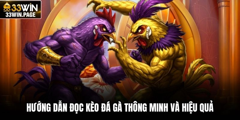 Hướng dẫn đọc kèo đá gà thông minh và hiệu quả