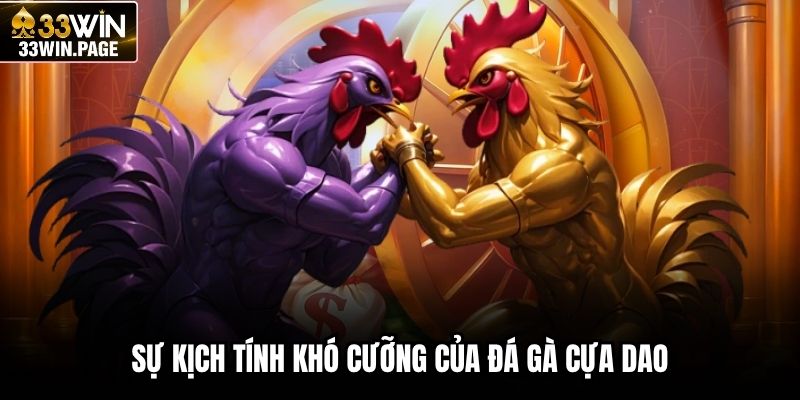 Sự kịch tính khó cưỡng của đá gà cựa dao