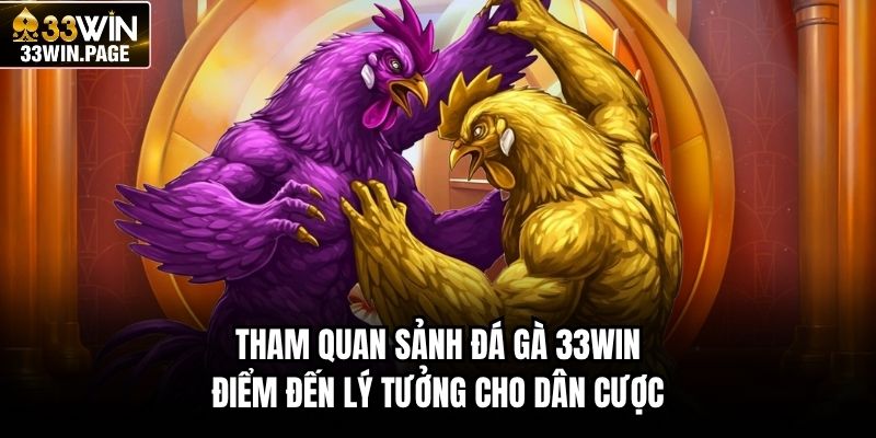 Tham quan sảnh đá gà 33WIN điểm đến lý tưởng cho dân cược