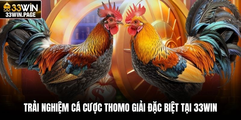 Trải nghiệm cá cược Thomo giải đặc biệt tại 33WIN